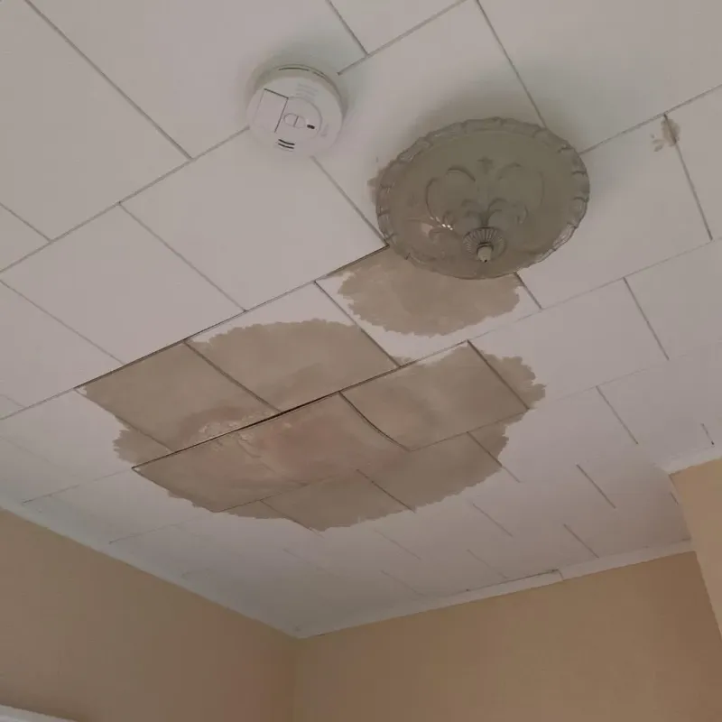 Ceiling Water Damage Repair in Norwalk, OH