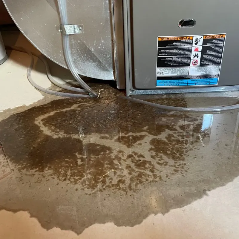 Pipe Burst and Leak Restoration in Norwalk, OH