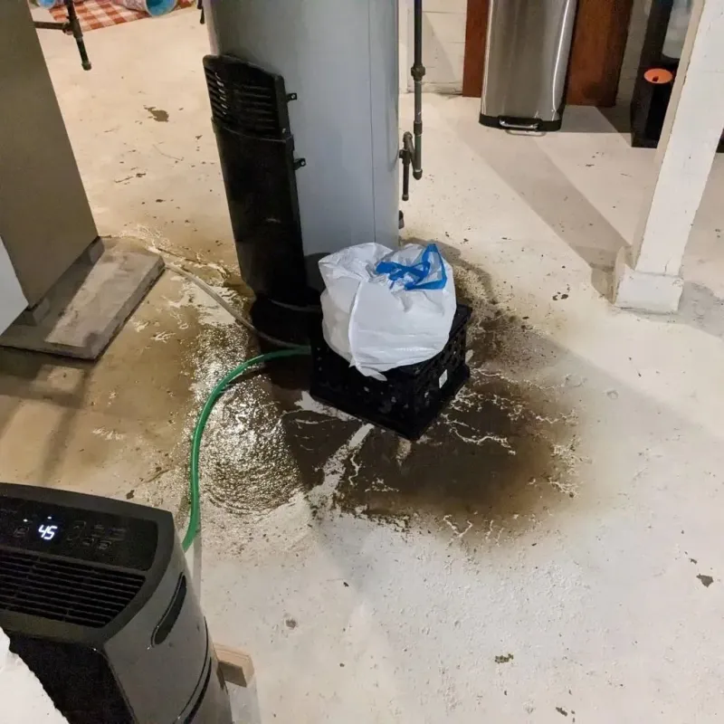 Sewage Backup Cleanup Service in Norwalk, OH
